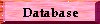Database