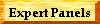 Expert Panels