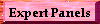 Expert Panels