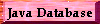 Java Database